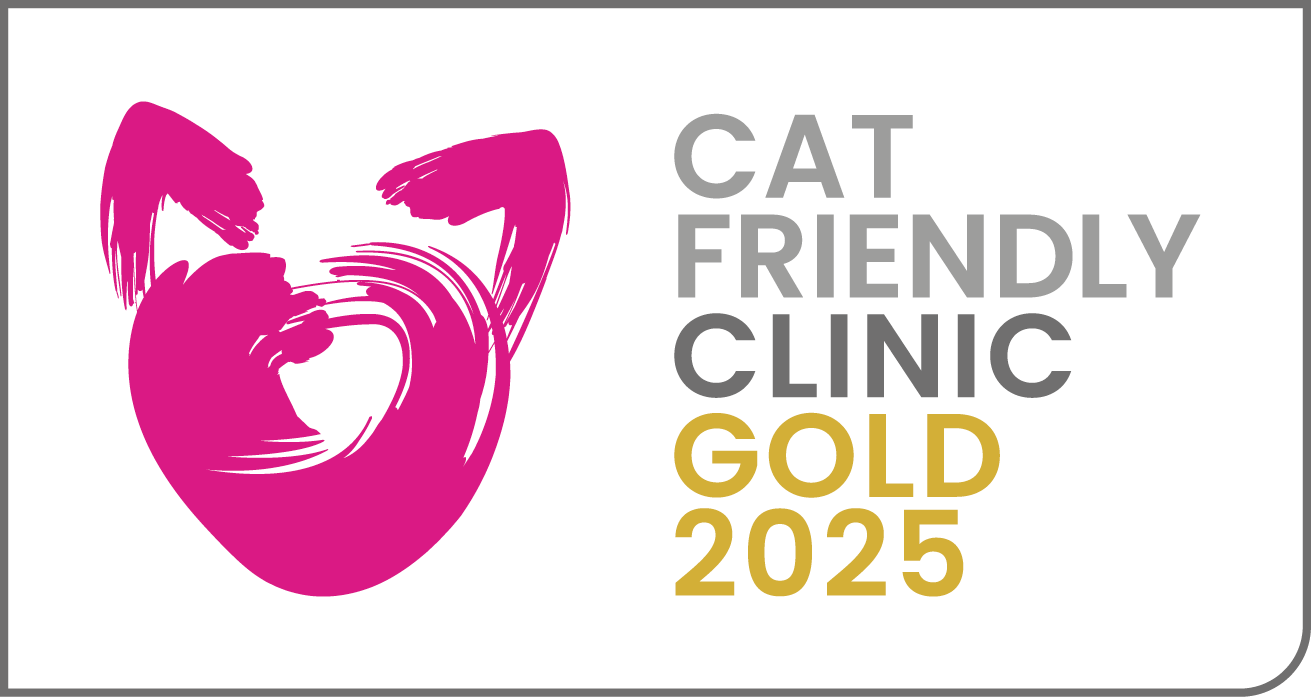 Badge showing that The Cat Clinic is a Gold Cat Friendly Clinic in 2025